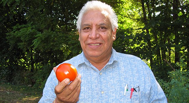 Image of man holding a tomato.